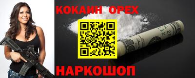 шишки Можга