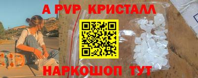 шишки Можга