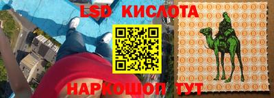 стаф Моздок