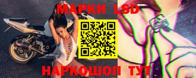 шишки Можга