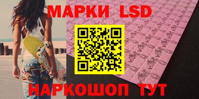 шишки Можга