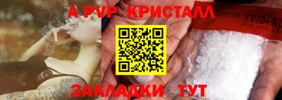 стаф Моздок